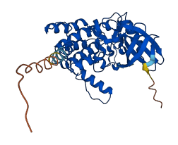 CSNK1A1L 3D structure