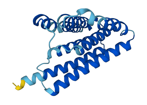 SLC66A3 3D structure