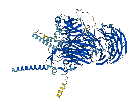 EMC1 3D structure