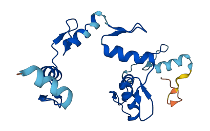 ZNF525 3D structure