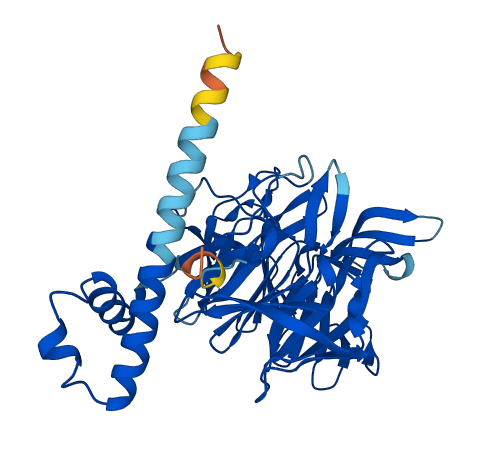 KLHDC1 3D structure
