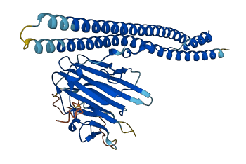 TRIML2 3D structure