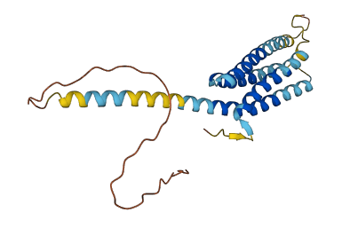 TMEM217 3D structure