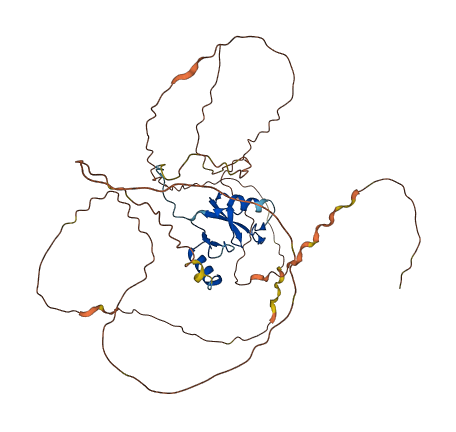 CBLL2 3D structure