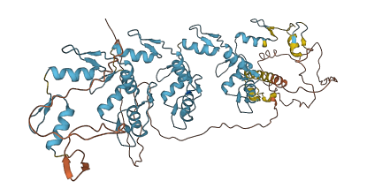 ZNF283 3D structure