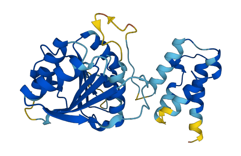 FAM86B1 3D structure
