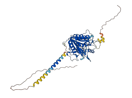 PLD5 3D structure