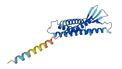 CLDN22 3D structure