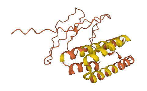 CELF2-AS1 3D structure