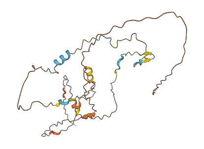 POM121L12 3D structure