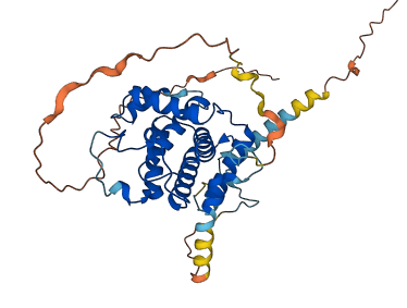 CCNYL1 3D structure