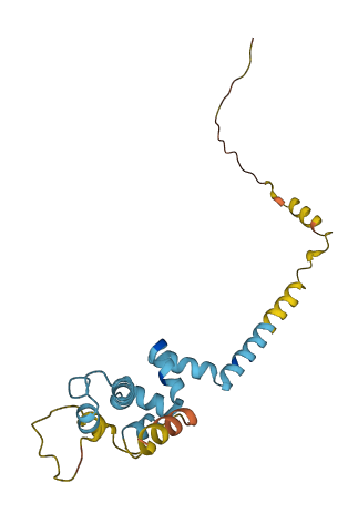DNAJC5G 3D structure