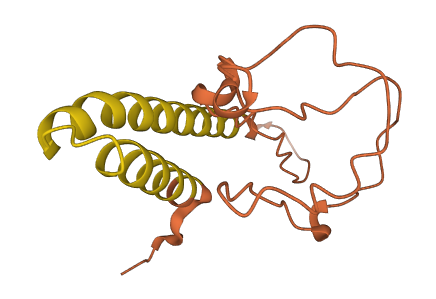 LINC00469 3D structure
