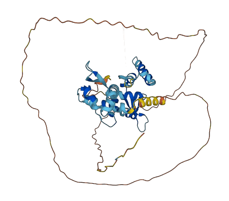 MAGEB6 3D structure