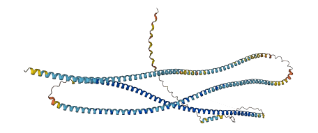 GOLGA6L1 3D structure