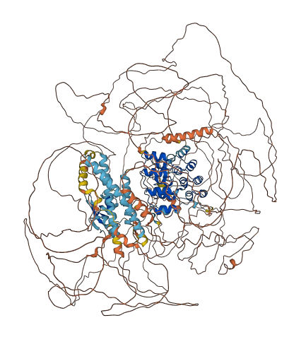 ANKRD31 3D structure