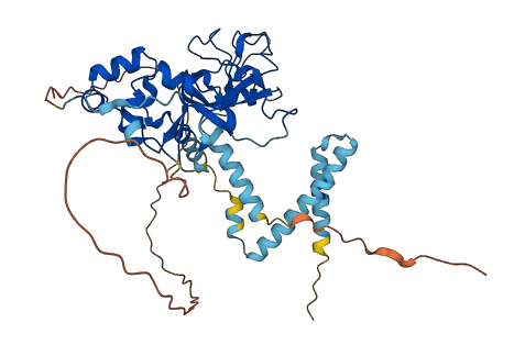 UBR7 3D structure