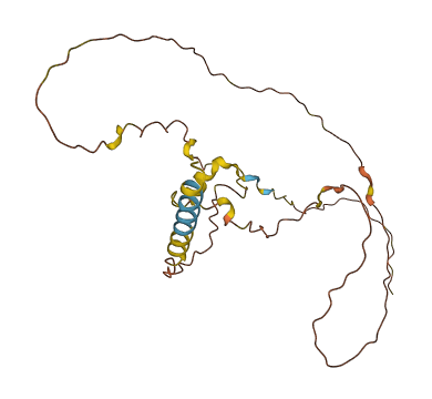 C3orf56 3D structure