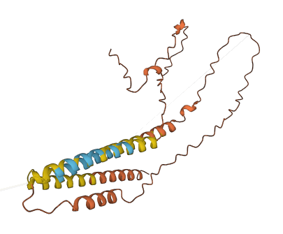 TMEM99 3D structure