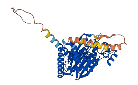 PPM1N 3D structure