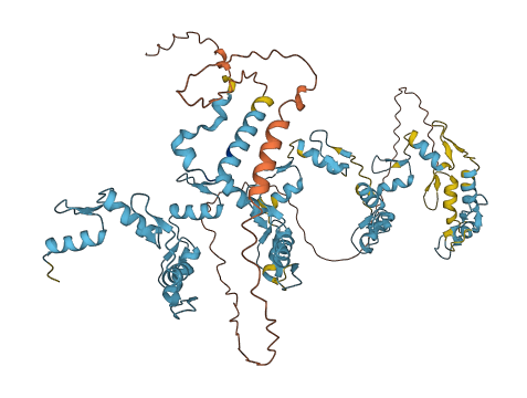 ZNF611 3D structure