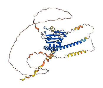 TSPYL6 3D structure