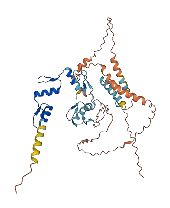 ZNF713 3D structure