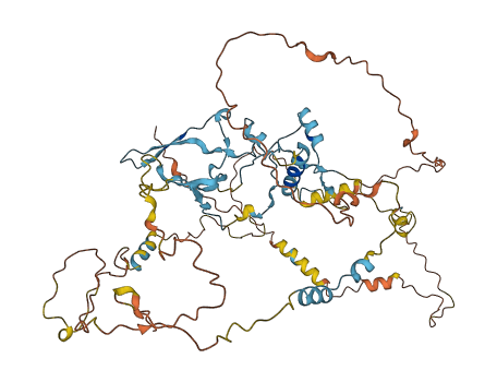 C7orf31 3D structure