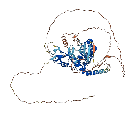 FRMD1 3D structure