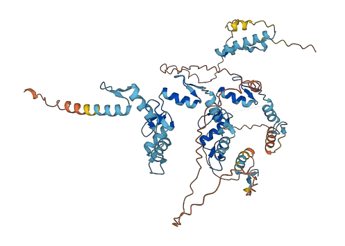 ZNF614 3D structure