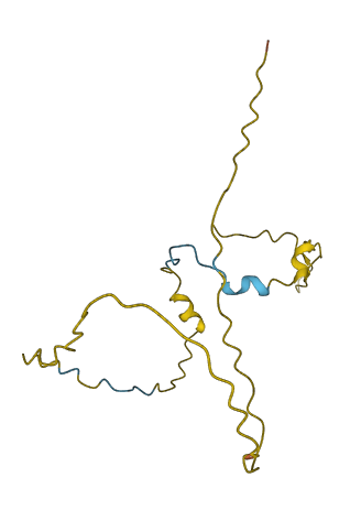 BCORP1 3D structure