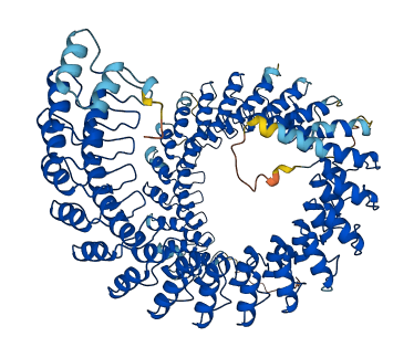 ANKRD44 3D structure