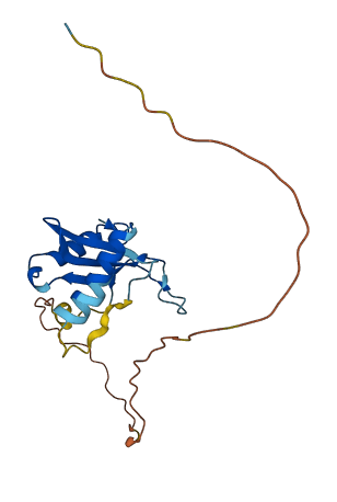 FAM169B 3D structure