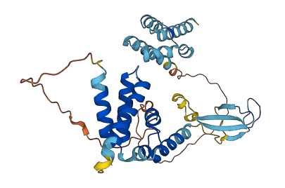 TCEANC 3D structure