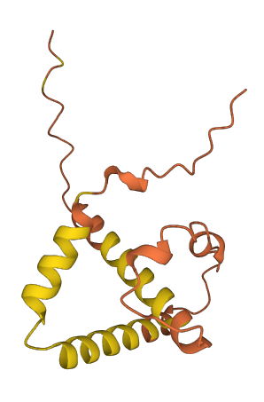 C5orf56 3D structure