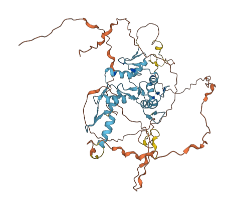 ZNF513 3D structure