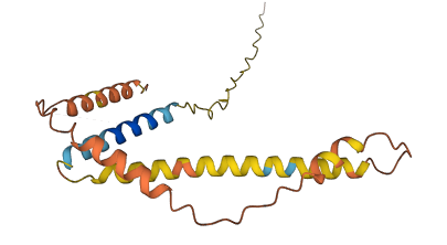 C15orf54 3D structure