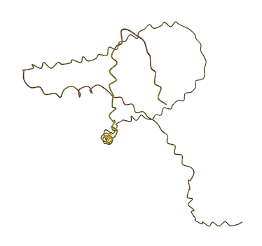 ZNF321P 3D structure
