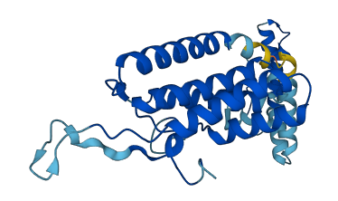 PI4KAP1 3D structure