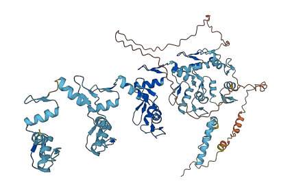 ZNF615 3D structure