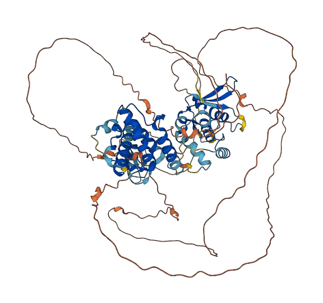 KIAA1958 3D structure