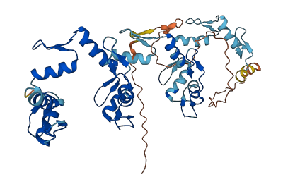 ZNF491 3D structure