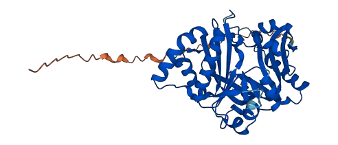 NAT16 3D structure