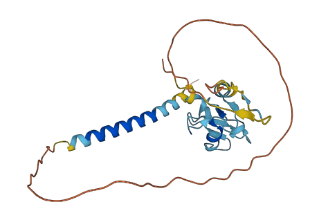 RNF152 3D structure