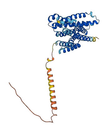 NIPA2 3D structure