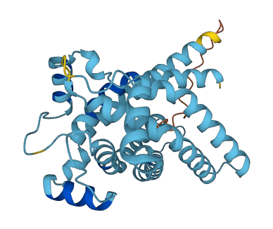 SLC25A29 3D structure