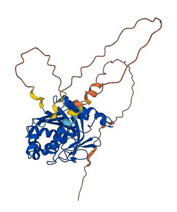 C2orf69 3D structure