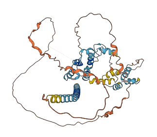 RTL3 3D structure
