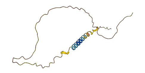 TMEM105 3D structure