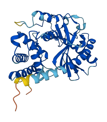 MAB21L3 3D structure